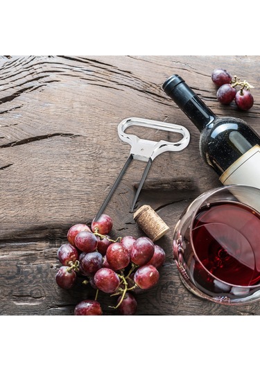 Yuntech01 Gümüş İki Uçlu Vintage Şarap Açıcı - Kırık Mantar Kaldırıcı, Taşınabilir Bar Ve Ev Gereci Gümüş