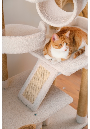 Kuara Bella Kedi Ağacı 3 Katlı Tırmalama Direği Yatak ve Oyuncaklı