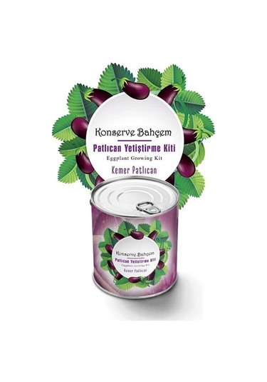 Buffer Konserve Bahçem Evde Konservede Kemer Patlıcanyetiştirme Kiti Mavi