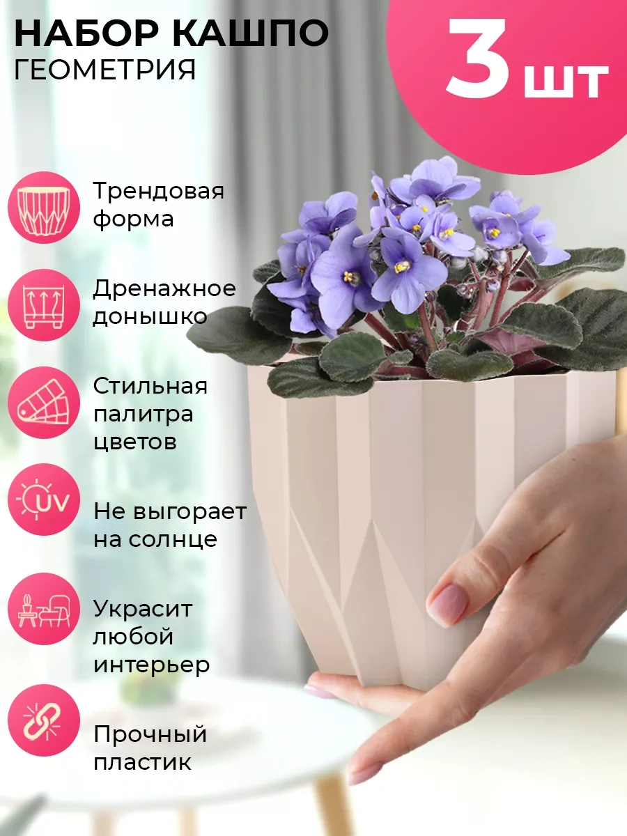 La Decoro Sukulentler İçin Saksı, Menekşe Saksıları, Kaktüs Saksısı. 238664847