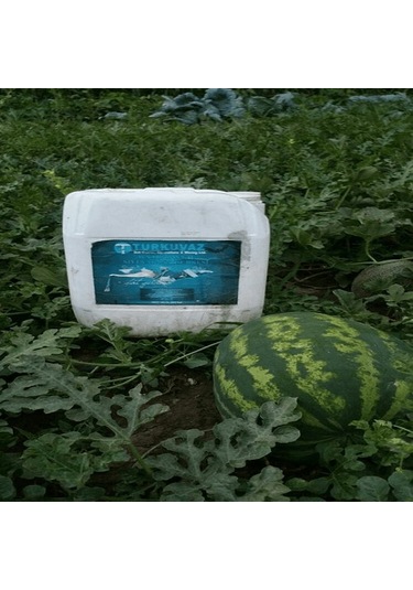 20 L Turkuvaz Bat Power Organik Sıvı Yarasa Gübresi