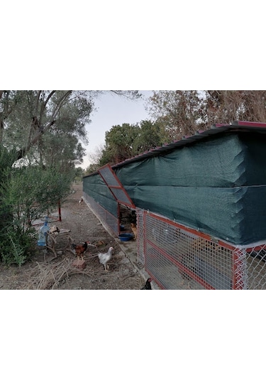 Morilu Sera Filesi - 95'lik Şeritli Halkalı - Hayvan Gölgeliği - Sera Gölgelik