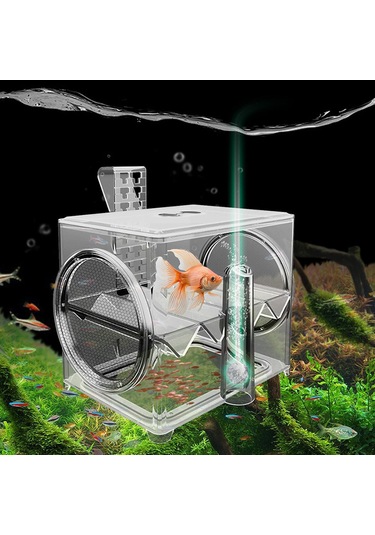 Suntek Balık Üremesi Izolasyon Kutusu Tankı Kuluçkahane