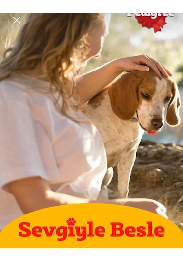Pedigree Markies Köpek Ödül Bisküvisi 150 Gr 2 Adet