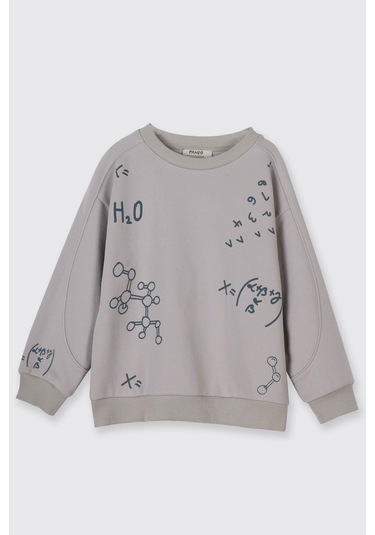 Panço Baskı Detaylı Taş Erkek Çocuk Sweatshirt 2521bb08007 Taş