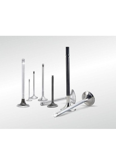 Subap Gaydı 208 301 C-elysee 12v G0286-9676359180