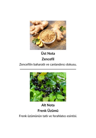 Alescia St-123 Kadın Parfüm EDP 50 ML