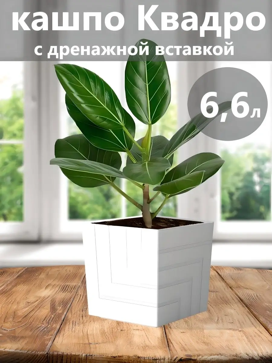 Live-in-green Oto Sulama Özellikli Yer Tipi Plastik Saksı 6 Litre 147413681