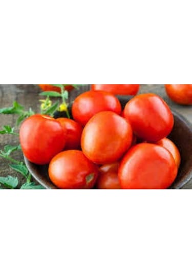 5 Adet Tohum Çerez Domates Tohumu Atıştırmalık Domates Tohumu Süpriz Hediye Sebze Tohumludur