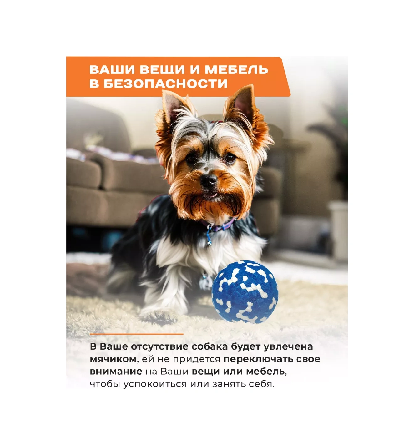 Purrfect Place Köpekler İçin Oyuncak, Süper Dayanımlı Top 201068688