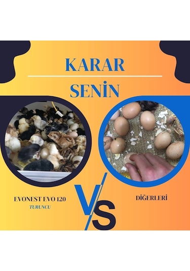 Evonest 120 Yumurtalık Kuluçka Makinesi Turuncu Renk