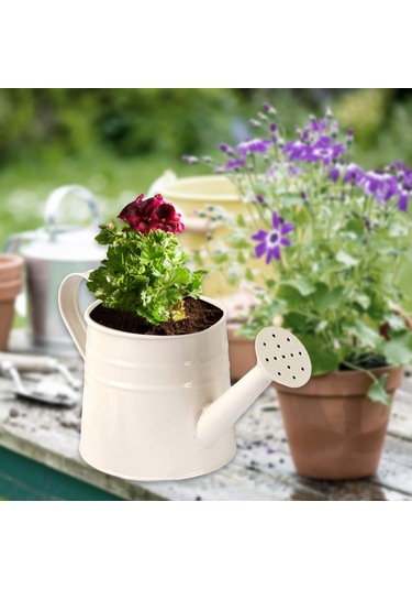 Suntek Mini Sulama Kabı El Sanatları Için Saksı Beyaz