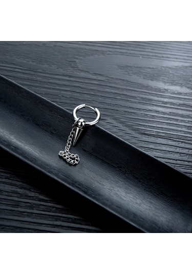 Ehediye Chavin Çelik Sallantılı Tekli Bayan Erkek Küpe Ef36