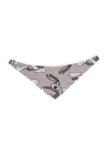 Lepus Fular Tasma Small No:1 249-58009.01 Diğer