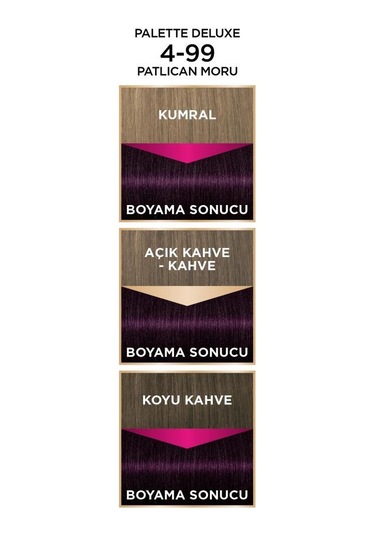 Palette Deluxe 4 - 99 Patlıcan Moru X 2 Adet Saç Boyası
