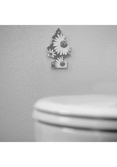 Little Trees City Style Baharat Aromalı Oto Kokusu 6 Adet