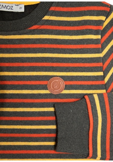 Erkek Çocuk Recycle Pamuk Çizgili Sweatshirt 001 Çok Renkli