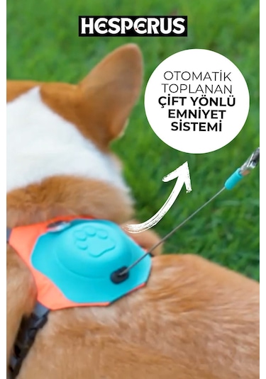 Köpek Tasması Gövdelik Ve Göğüslük Otomatik Toplama Mavi-l Mavi