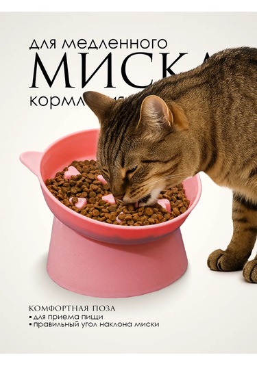 Vektorı Kedi Kabı 391740899