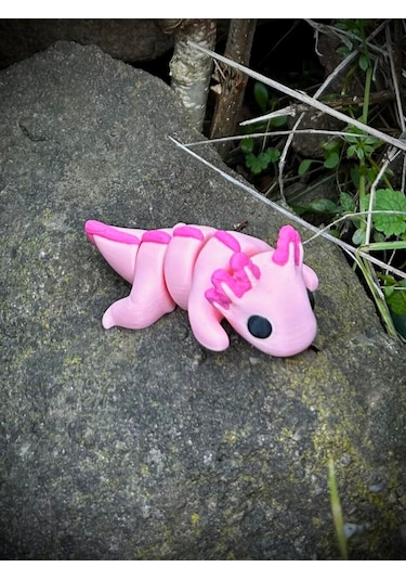 Axolotl Oyuncak 3D Hareketli Yeni Nesil Organik Model - Orta Boy