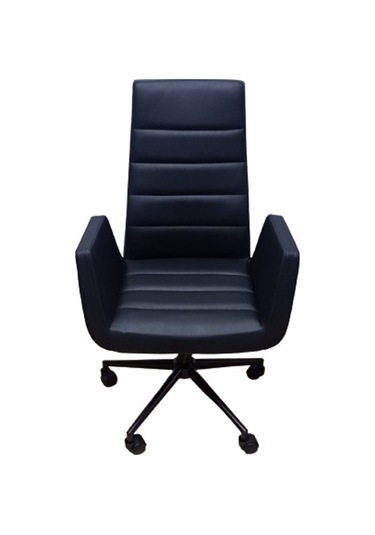 Şef Koltuğu Müdür Koltuğu Çalışma Sandalyesi Döküm Süngerli