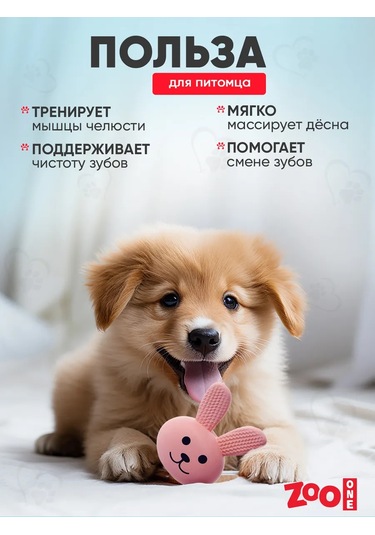 Zooone Cıvıltılı Top Köpek Oyuncağı 184367161