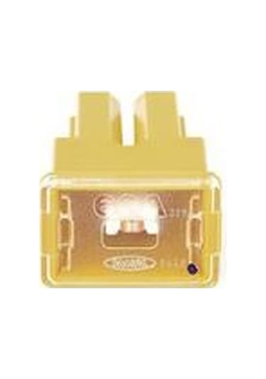 Bosch 1987529066 Sigorta As Serıe Female Diğer