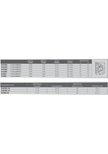 Alpine R-Serisi R2-W10D4