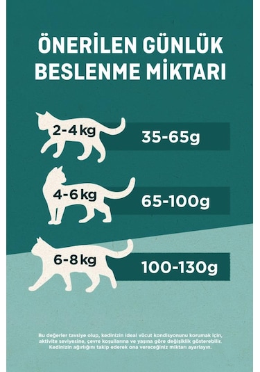 Purina One Yavru Kedi Maması Somon & Havuç 85g
