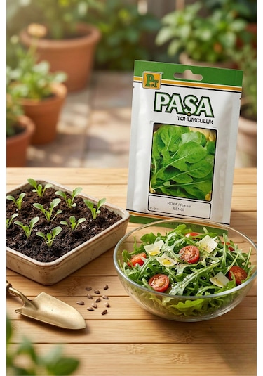 Paşa Roka Tohum 10 Gr