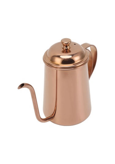 650ml Gooseneck Kahve Demliği Kaiyi Gosterildigi Gibi