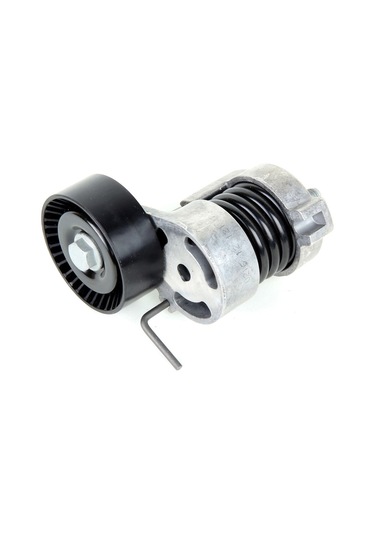 Asa 36865481 Vkayış Gergi Mercedes Axor Oem 4572002970