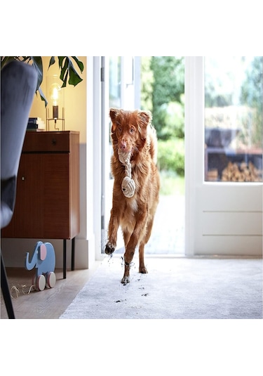 Bissell Spotclean Pet Pro Evcil Hayvanlı Evlere Özel Halı-koltuk Yıkama Ve Leke Çıkarma Makinesi 750w 15585