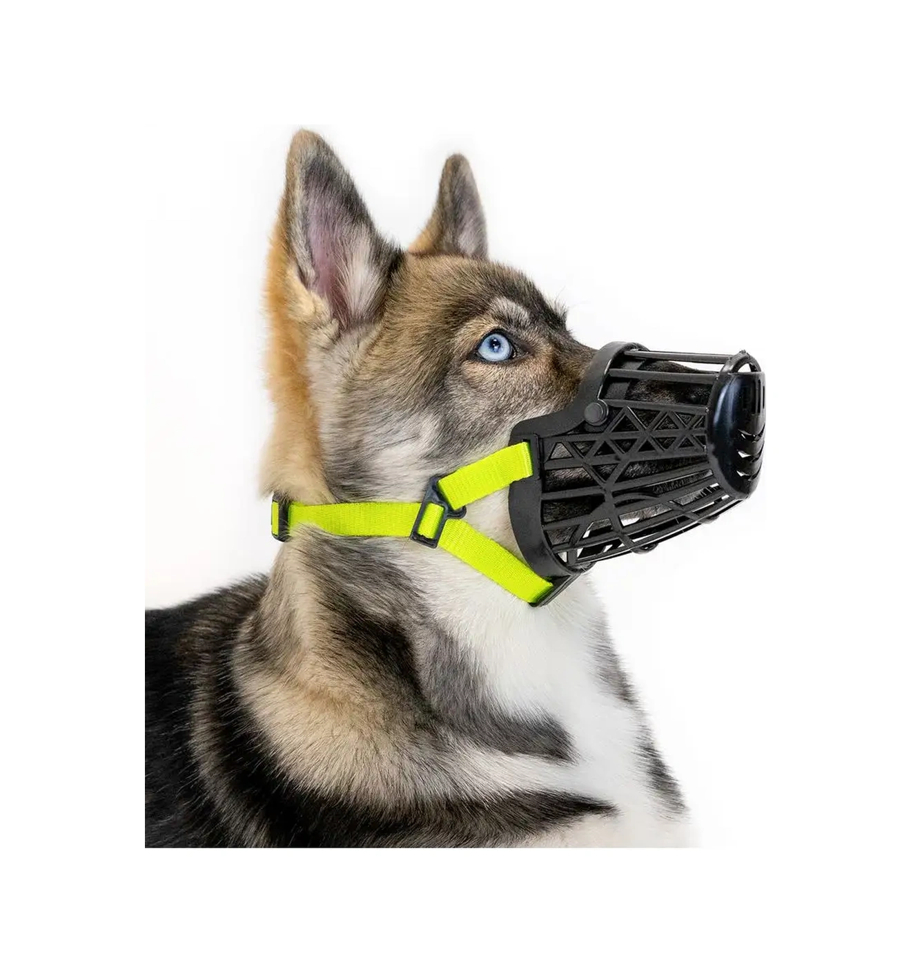 Pettails Siyah Plastik Irk, Küçük, Orta Ve Büyük Köpekler İçin Ağızlık 160448382