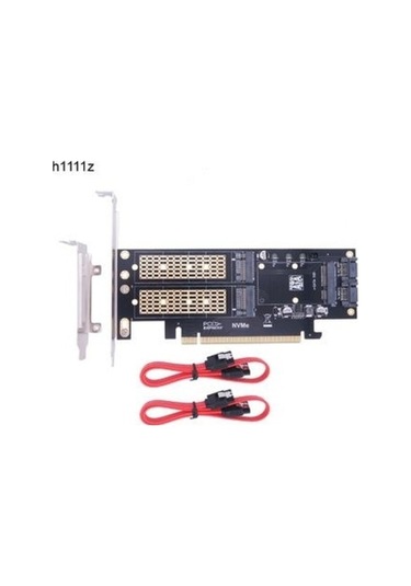 Trendooze Pci Nvme Ngff Msata Keepro Express Çevirici 16x Pl