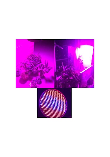 Sera Bitki Lambası 800 Led 80 Watt Standart Duy Isınmayan