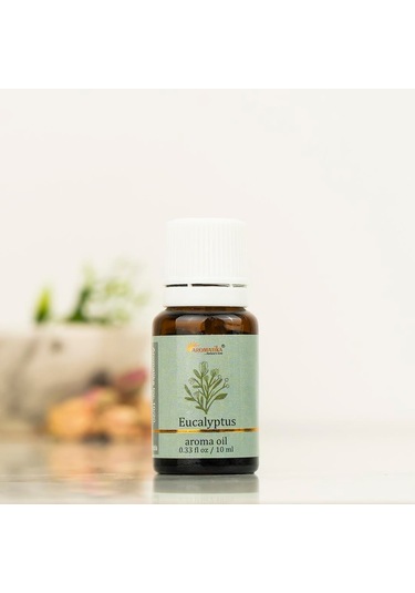 Aromatika Okaliptüs Buhurdanlık Kokusu Renkli