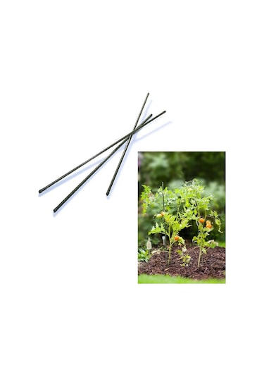 Bitki Destek Çubuğu Metal 120cm