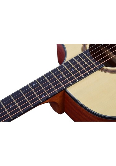 Tayste Ts21-40 Akustik Gitar