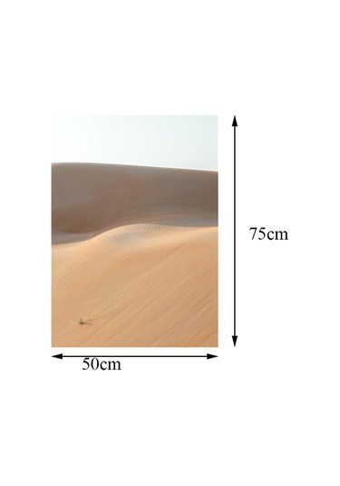 Homyl 1 Parça Doğa Manzara Tuval Duvar Sanatı Ev Çöl