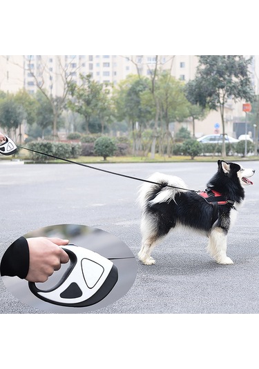 Geeroyoo Led Aydınlatmalı Uzatılabilir Köpek Tasması, Mavi, Büyük Boy, 16ft Mavi