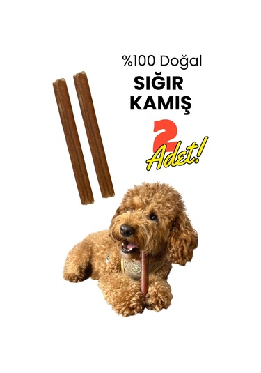 Havhav 2 Adet Sığır Kamış Çiğneme Çubuğu Köpek Ödülü