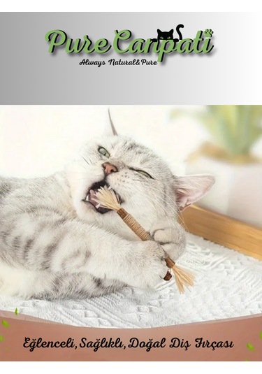 Purecanpati Matatabi Çubuğu 2 Adet