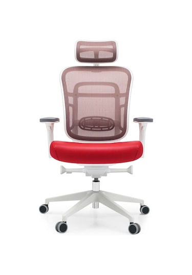 Passion Oyuncu Ofis Yönetici Çalışma Makam Koltuğu