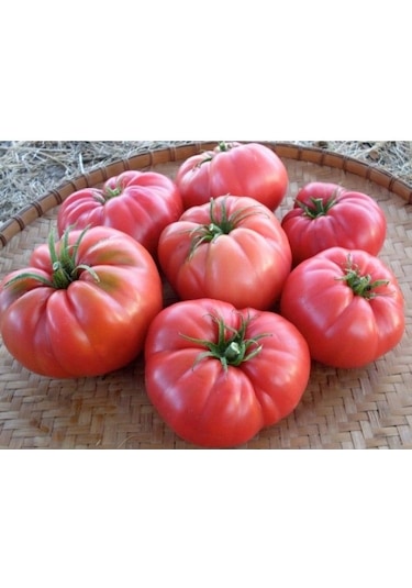 Köy Domatesi Yetiştirme Seti 150-200 Tohum, Saksı, Toprak Karış