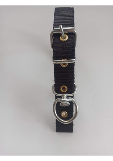 Kozaklı Küçük Irk Köpek Tasması Siyah 50 x 2.5 CM Siyah