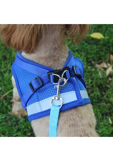 Geeroyoo Reflektif Poliester Köpek Yeleği, 1.2m Tasma İpi, Gümüş Gri, M Boyut, Güvenli Ve Konforlu Pet Aksesuarı Gri