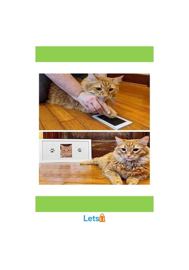 Kedi Köpek Pati İzi Fotoğraf Çerçevesi Seti Toksik Olmayan Mürekkepsiz Baskı Kiti