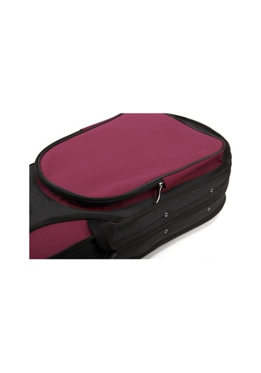 Swing Sv-444 Mat Cila Komple Abanoz Aksamlı-4/4 Tam Boy Keman Set