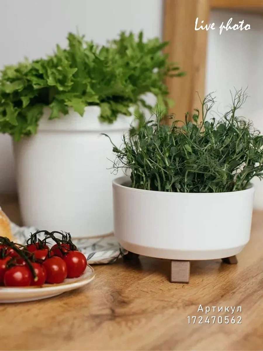 La Decoro Sukulentler İçin Saksı, Ayaklı Saksı, Kaktüs Saksısı 166657688